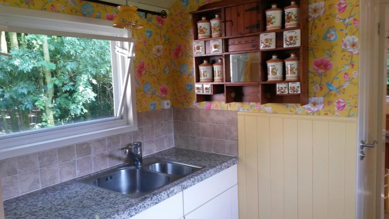 Pipowagen Camping Puur Genieten Bed & Breakfast Someren Dış mekan fotoğraf
